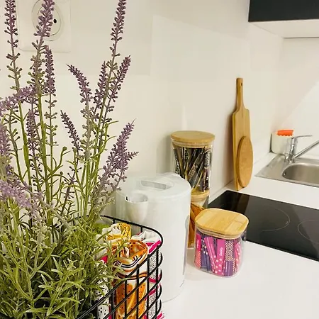 Διαμέρισμα Studio Cosy Et Lumineux